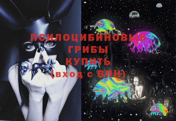 бошки Аркадак