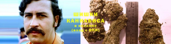 PSILOCYBIN Арсеньев