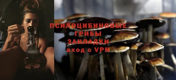 гашик Балахна