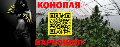 стафф Малгобек