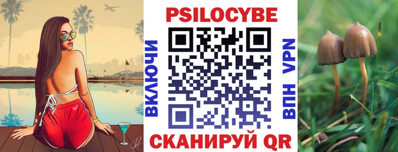 Псилоцибиновые грибы мухоморы  hydra ссылка  Гурьевск 