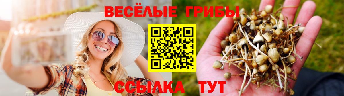 Псилоцибиновые грибы Magic Shrooms  Вход с VPN  Гурьевск 
